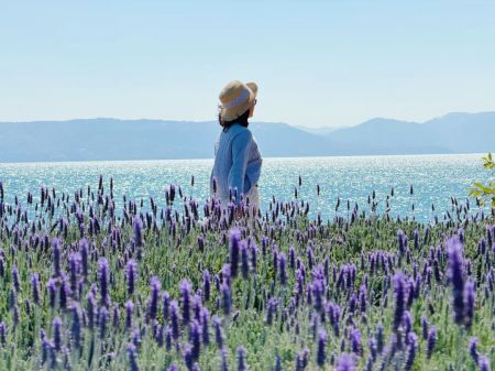 �½��򿨵����ߣ�һ����������������Ҫ�������þӡ�